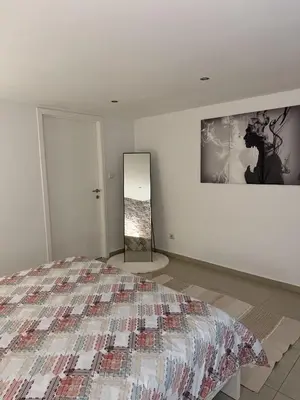 a bedroom with a bed and a mirror on the wall at Cozy appartement in Brussels- Schuman Area in Brussels