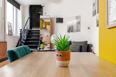a potted plant sitting on top of a wooden table at Cosy studio in the heart of Brussels - Grand place in Brussels