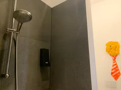 a bathroom with a shower with a microphone and a shower stall at B&B DRUUM in Brussels