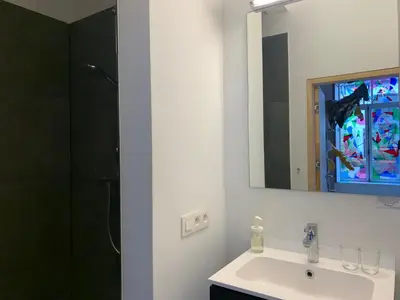 a bathroom with a sink and a mirror and a shower at B&B DRUUM in Brussels