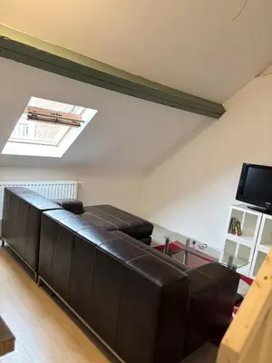 a black leather couch in a living room with a skylight at Marie home in Brussels