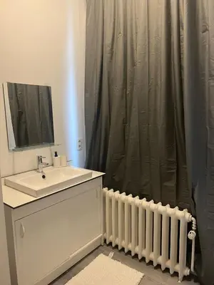 a bathroom with a sink and a shower curtain at Albergue Bosquet in Brussels