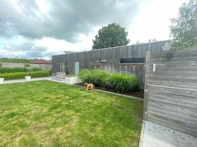 a dog standing in a yard next to a fence at Q Studio Green in Herzele