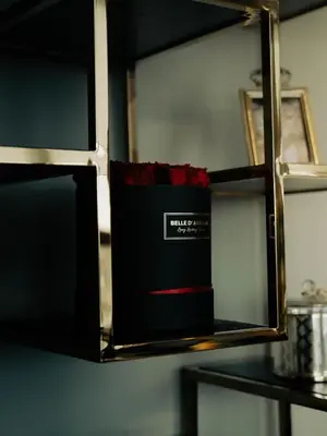 a black box on a shelf with red roses at Sunset Penthouse Antwerp in Antwerp