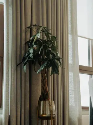 a plant in a vase in front of a curtain at Sunset Penthouse Antwerp in Antwerp