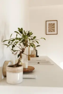 a potted plant sitting on a counter next to a sink at Studio & Stay Loft in Ghent