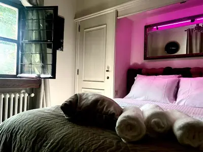 a bedroom with a bed with pink lights on it at Luxury suite with a private terrace in Diest