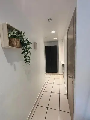 a hallway with a door and a plant on the wall at Comfortable Apartment in Brussels, 35 m², 3 Persons in Brussels