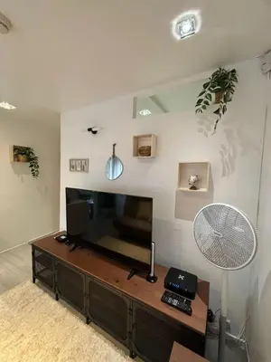 a living room with a flat screen tv and a fan at Comfortable Apartment in Brussels, 35 m², 3 Persons in Brussels
