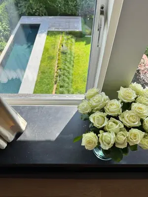 a vase of white roses sitting on a window sill at Villa 'L' in Brussels