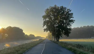 a road with a tree on the side of it at Aurelia in Zemst