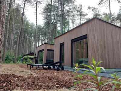 a small house in the middle of a forest at Vakantiewoning in 't groen-Lille in Lille