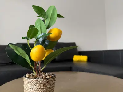 a plant in a basket on a table at Oasis Apartament in Brussels