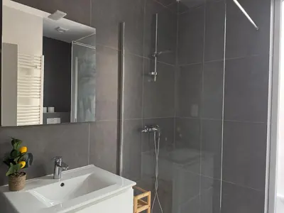 a bathroom with a shower and a sink and a mirror at Oasis Apartament in Brussels