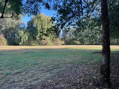 a large field with a tree in a park at Secret garden
