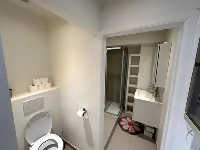 a small white bathroom with a toilet and a sink at Studio downtown Gent in Ghent