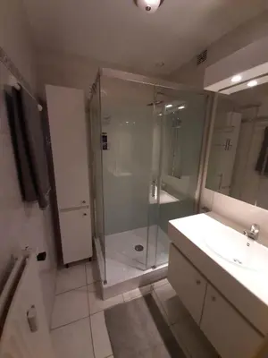 a bathroom with a shower and a sink at Mazzimmo Boom in Boom