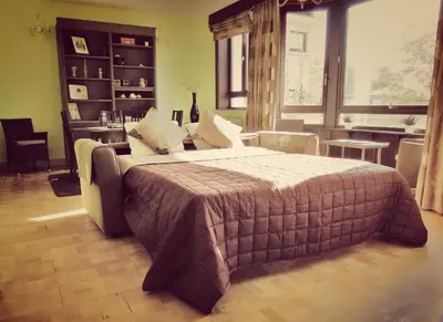 a bedroom with a large bed in a room at B&B Lieven Bauwens in Ghent