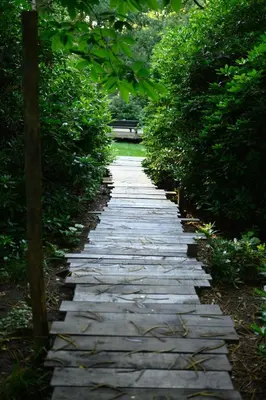 a stone path in the middle of a garden at Cabins in the woods with wellness in Brasschaat