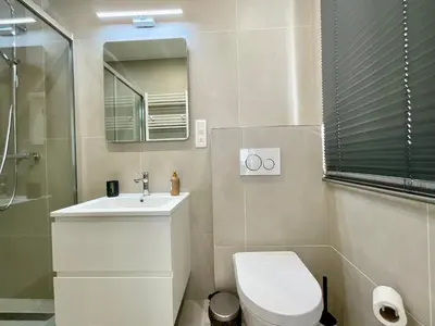 a bathroom with a toilet and a sink and a mirror at Chapeliers 34 in Brussels