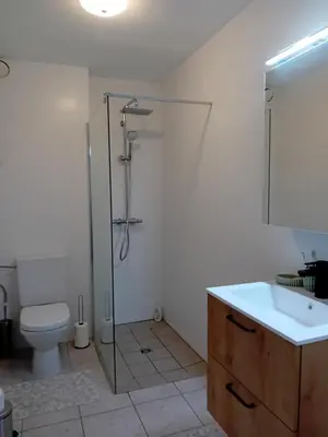 a bathroom with a shower and a toilet and a sink at Appartement dans parc