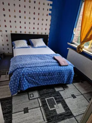 a bedroom with a bed and a blue wall at Tomorrowland guest appart in Boom