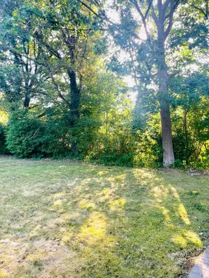 a field of grass with a tree in the background at Zenitude in Tremelo