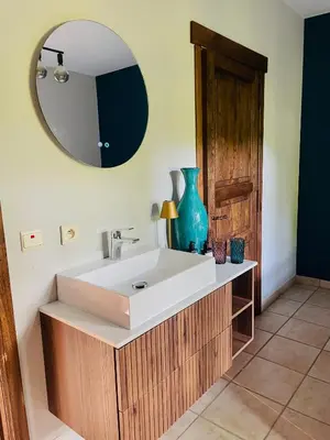 a bathroom with a white sink and a mirror at Zenitude in Tremelo