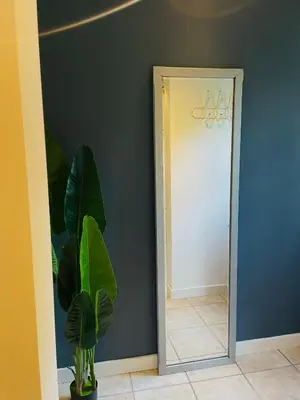 a mirror in a room with a plant next to it at Zenitude in Tremelo