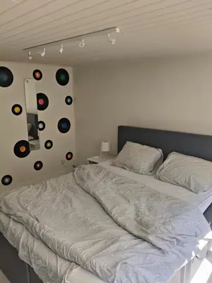 a bedroom with a bed with records on the wall at Ontferming RwinteR in Mol