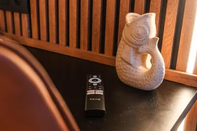 a remote control sitting on a table next to a vase at Spacious & Stylish 3 adjacent Bedrooms Stay in Central Ghent in Ghent