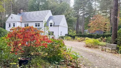 a white house with a bench in front of it at A Calm & Quiet Stay in Wuustwezel