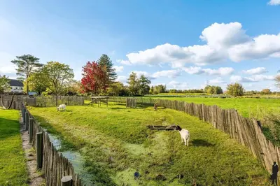 a group of sheep grazing in a field next to a fence at Klavertje Lier Schapenstal in Lier