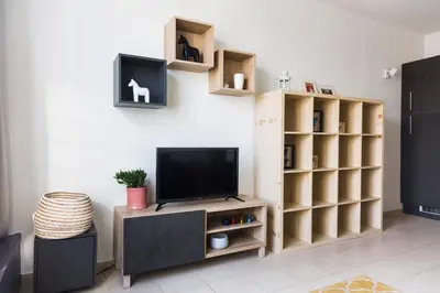 a living room with a tv and a book shelf at Brussels St Gilles Elegant residence in Brussels