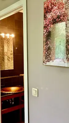 a door to a bathroom with a painting on the wall at Happy Home in Brussels