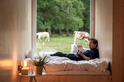 a man laying on a bed reading a book with cows in the background at Gorgeous Off-Grid Tiny House Near Antwerp, Belgium in Wuustwezel