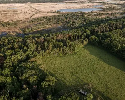 an aerial view of a forest and a river at Gorgeous Off-Grid Tiny House Near Antwerp, Belgium in Wuustwezel