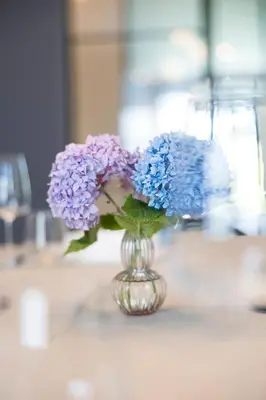 a vase filled with purple and blue flowers on a counter at The Haven in Sint-Genesius-Rode