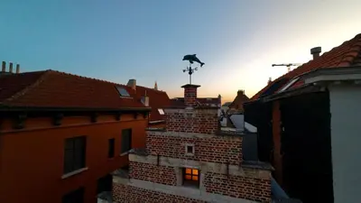 a bird perched on top of a building at Dolfijn Hostel in Antwerp