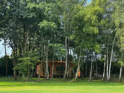 a house in the middle of a forest of trees at Holiday House Nature in Lier