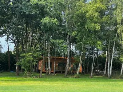 a house in the middle of a forest of trees at Holiday House Nature in Lier