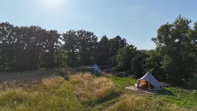 a couple of tents in a field with trees at Strackxhoeve Veldtent 'Veldslaap' in Laakdal