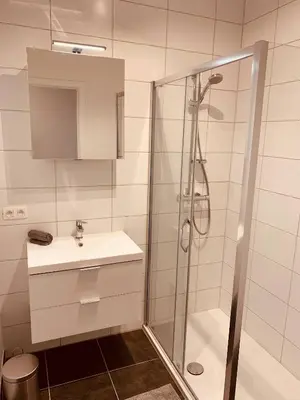 a white bathroom with a shower and a sink at The Diplomatic Apartment in Brussels