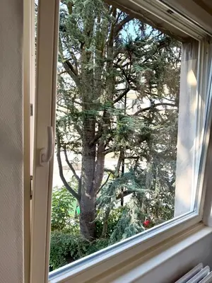 a window with a view of a tree at Atomium Brussels Canopy in Brussels
