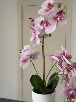 a white vase filled with pink flowers in front of a mirror at Atomium Brussels Canopy in Brussels
