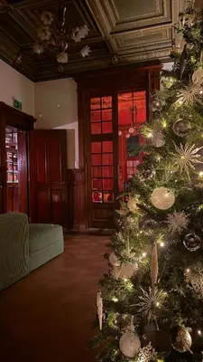 a christmas tree with lights in a living room at Boutique Cogels Osy in Antwerp