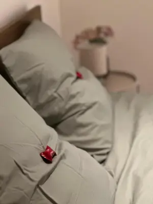 a red bow sitting on top of a bed at A joyful place in Ghent