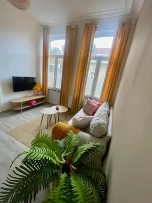 a living room with a couch and a plant at Le longue vie in Brussels
