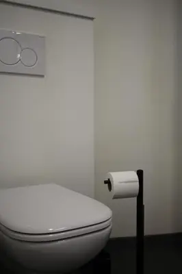 a bathroom with a toilet and a roll of toilet paper at Diesters huisje in Diest