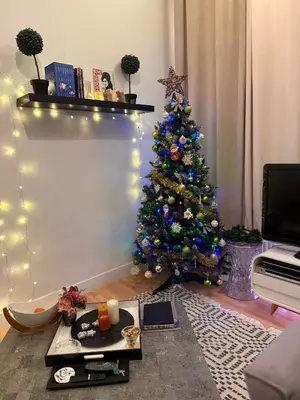 a living room with a christmas tree with lights at Antwerpen duplex apartment in Antwerp